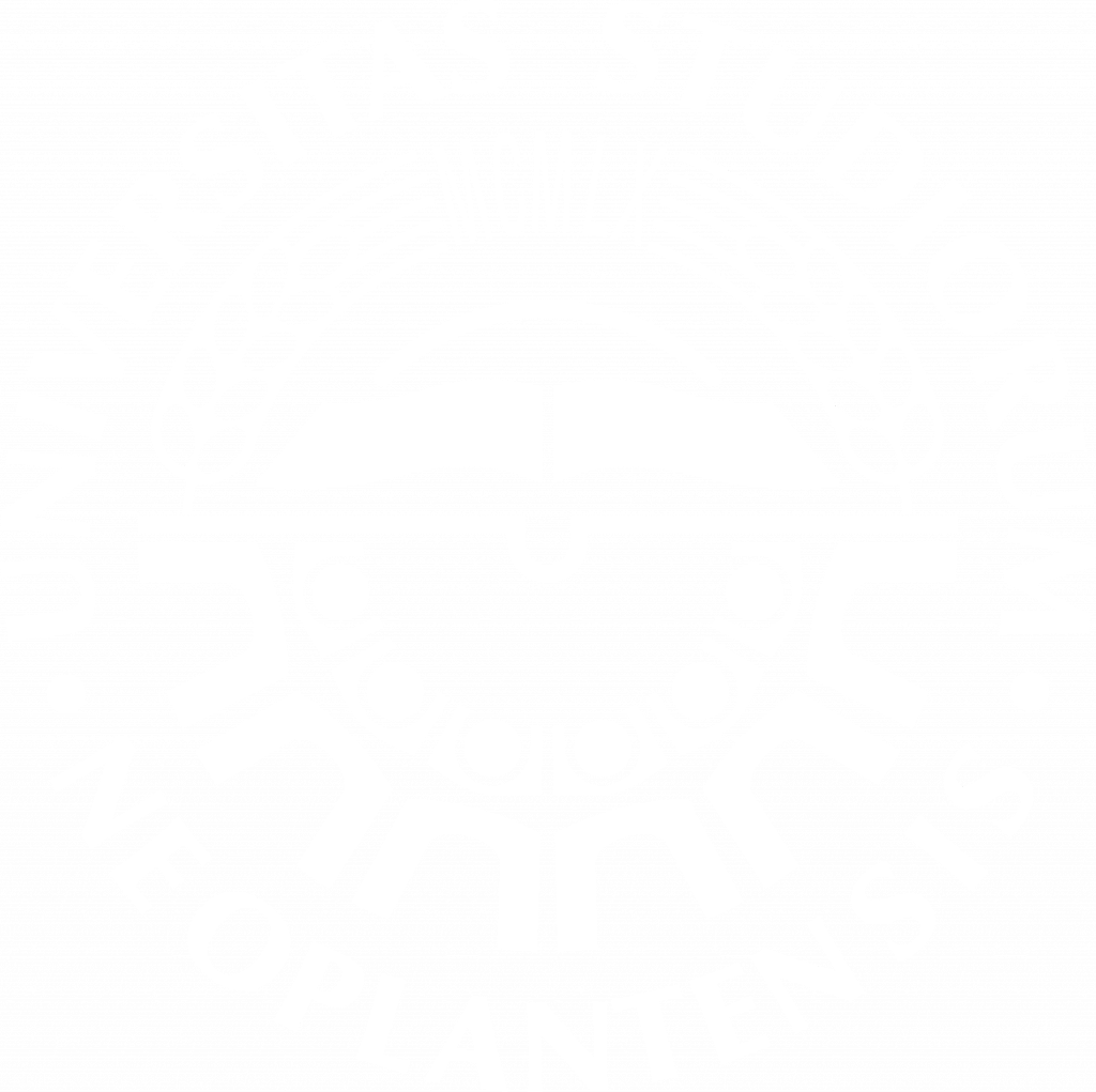 Visit University of Novi Sad website